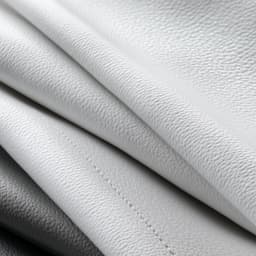 Vivid Refresh Membership