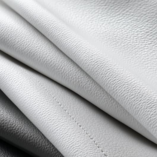 Vivid Refresh Membership